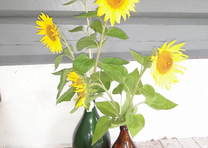 别墅 View Laehde Sysmä