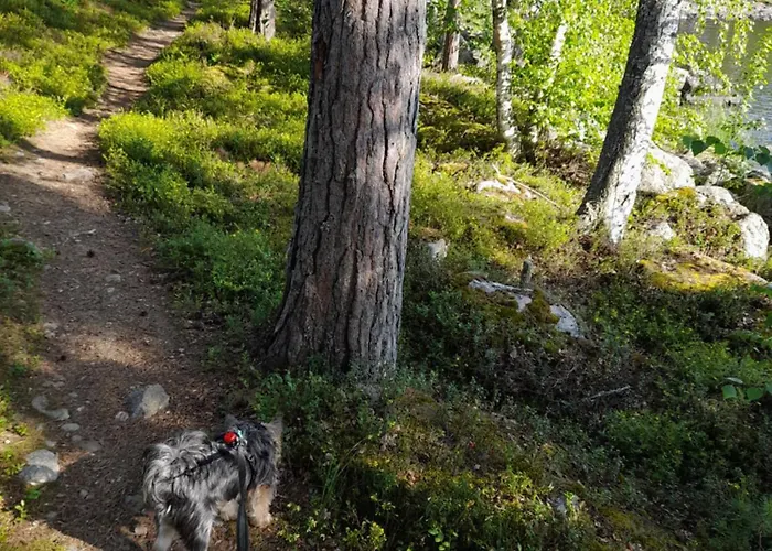 View Laehde 别墅 *